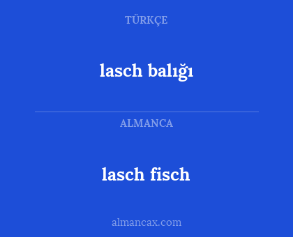 lasch fisch - lasch balığı