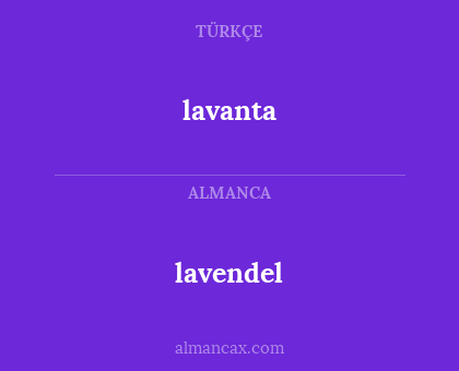 lavendel - lavanta