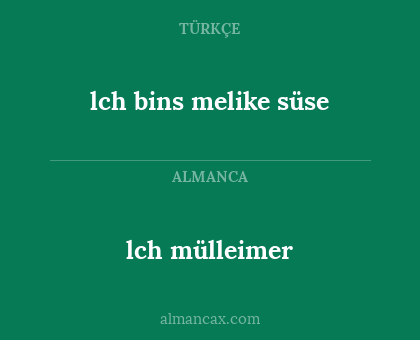 lch mülleimer - lch bins melike süse