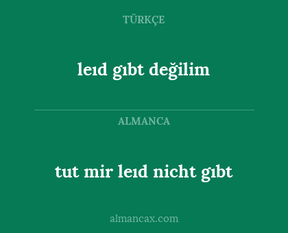 tut mir leıd  nicht gıbt - leıd gıbt değilim