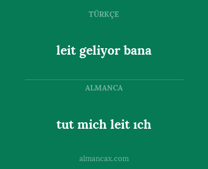 tut mich leit ıch - leit geliyor bana