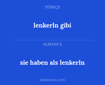 lenkerln gibi - sie haben als lenkerln