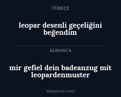 mir gefiel dein badeanzug mit leopardenmuster - leopar desenli geçeliğini beğendim