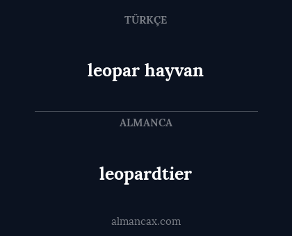 leopar hayvan - leopardtier