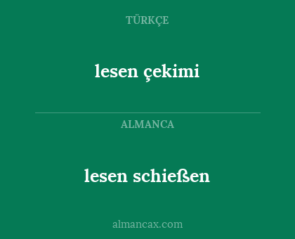 lesen çekimi - lesen schießen