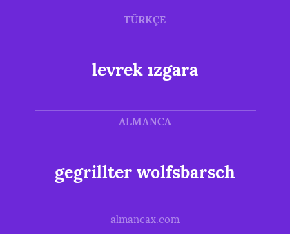 gegrillter wolfsbarsch - levrek ızgara
