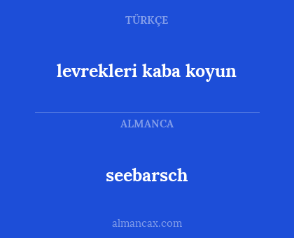 levrekleri kaba koyun - seebarsch