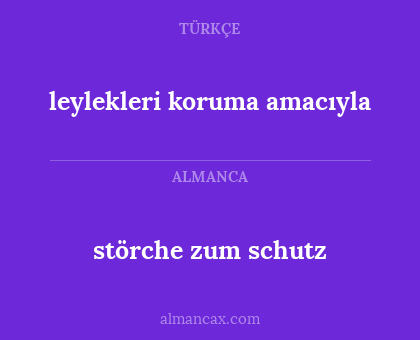 störche zum schutz - leylekleri koruma amacıyla