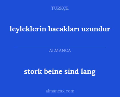 stork beine sind lang - leyleklerin bacakları uzundur