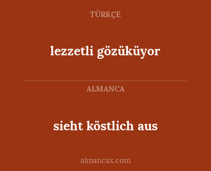 lezzetli gözüküyor - sieht köstlich aus