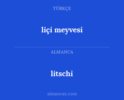 liçi meyvesi - litschi
