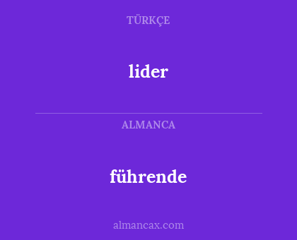 führende - lider
