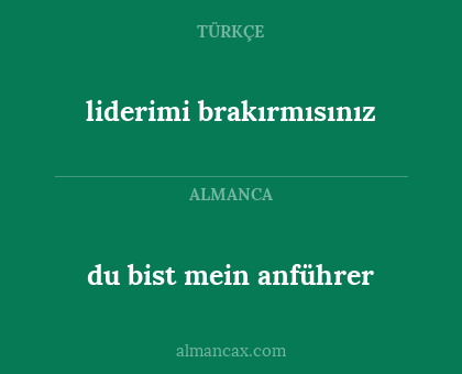 liderimi brakırmısınız - du bist mein anführer