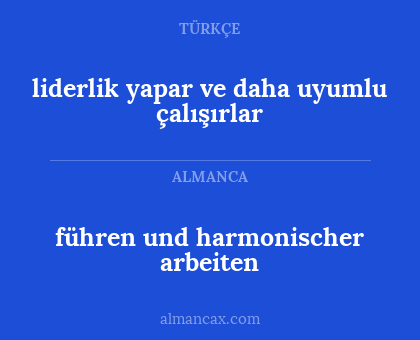 liderlik yapar ve daha uyumlu çalışırlar - führen und harmonischer arbeiten