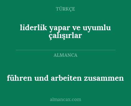 liderlik yapar ve uyumlu çalışırlar - führen und arbeiten zusammen