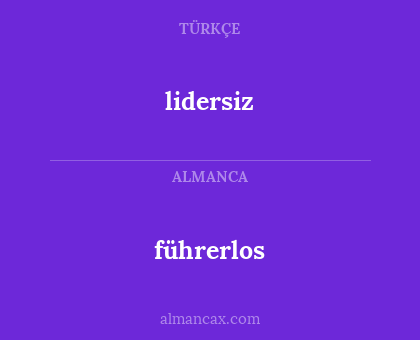 führerlos - lidersiz