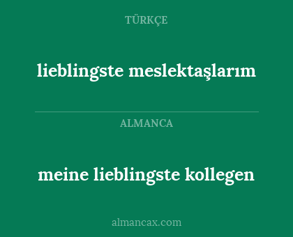 lieblingste meslektaşlarım - meine lieblingste kollegen
