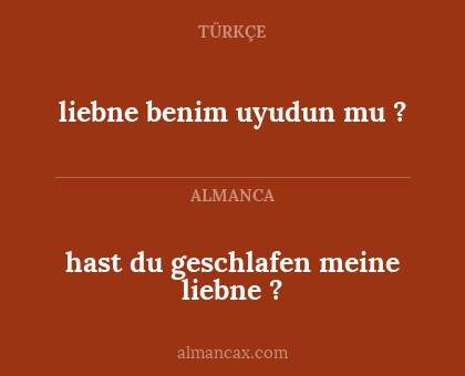 hast du geschlafen meine liebne ? - liebne benim uyudun mu ?