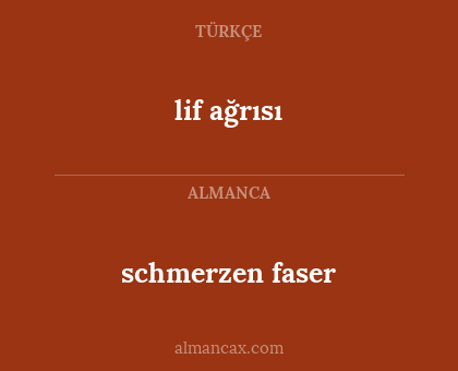 lif ağrısı - schmerzen faser