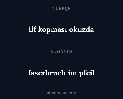 faserbruch im pfeil - lif kopması okuzda