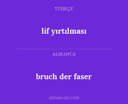 bruch der faser - lif yırtılması