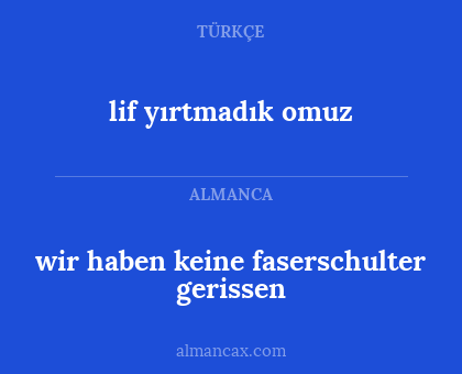 lif yırtmadık omuz - wir haben keine faserschulter gerissen