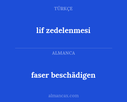 faser beschädigen - lif zedelenmesi
