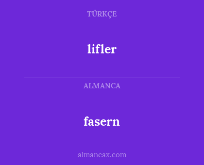 fasern - lifler