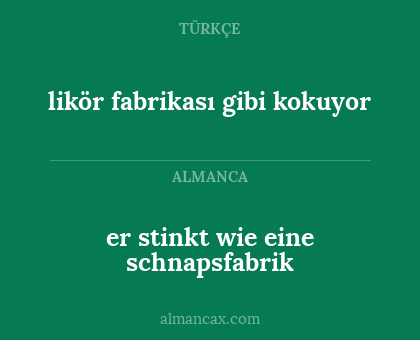 likör fabrikası gibi kokuyor - er stinkt wie eine schnapsfabrik