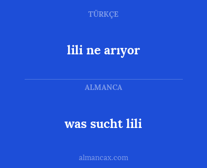 was sucht lili - lili ne arıyor