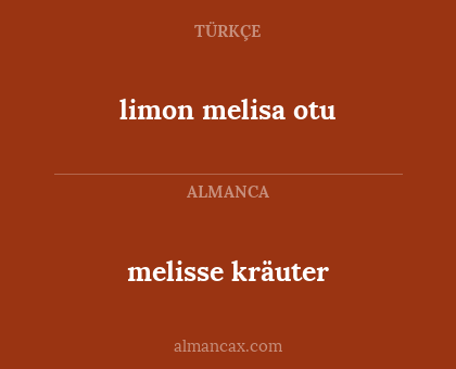 melisse kräuter - limon melisa otu