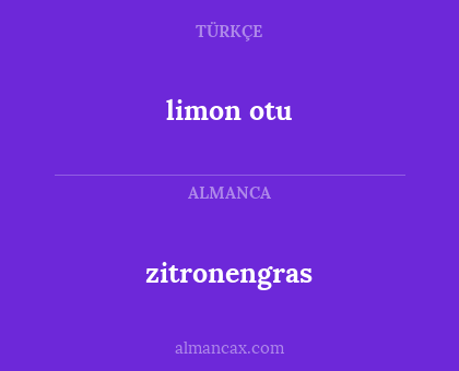 limon otu - zitronengras