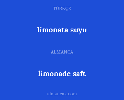 limonade saft - limonata suyu