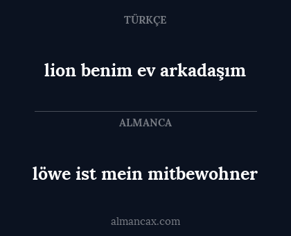 löwe ist mein mitbewohner - lion benim ev arkadaşım