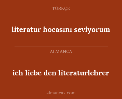 ich liebe den literaturlehrer - literatur hocasını seviyorum