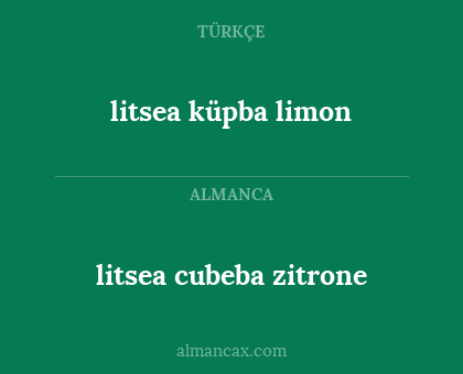 litsea cubeba zitrone - litsea küpba limon