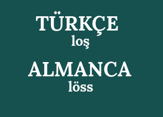 lo%C5%9F-l%C3%B6ss.png