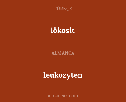 leukozyten - lökosit
