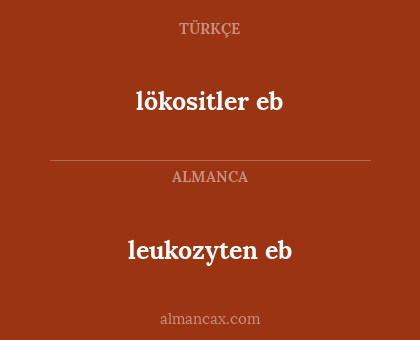 lökositler eb - leukozyten eb
