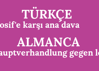 losif%26%2339%3Be+kar%C5%9F%C4%B1+ana+dava-hauptverhandlung+gegen+losif.png