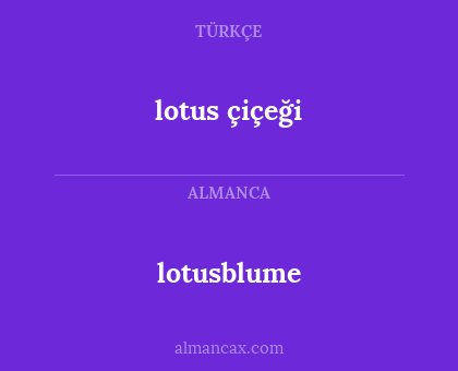 lotusblume - lotus çiçeği