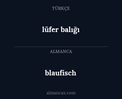 blaufisch - lüfer balığı