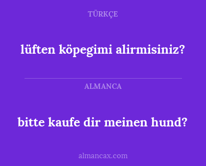bitte kaufe dir meinen hund? - lüften köpegimi alirmisiniz?