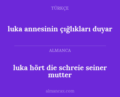 luka hört die schreie seiner mutter - luka annesinin çığlıkları duyar