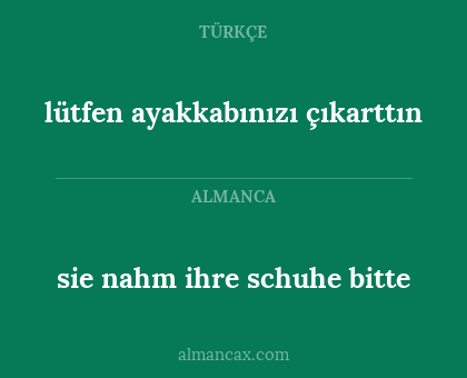 sie nahm ihre schuhe bitte - lütfen ayakkabınızı çıkarttın