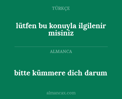 bitte kümmere dich darum - lütfen bu konuyla ilgilenir misiniz