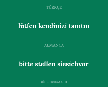 lütfen kendinizi tanıtın - bitte stellen siesichvor