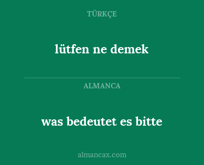 lütfen ne demek - was bedeutet es bitte