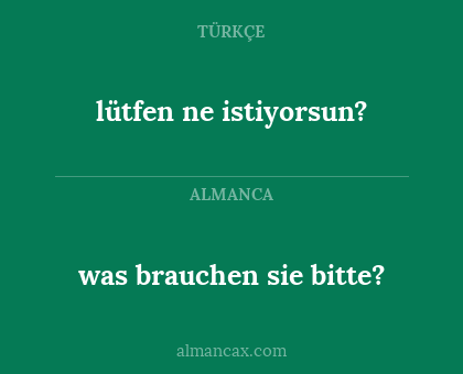 lütfen ne istiyorsun? - was brauchen sie bitte?