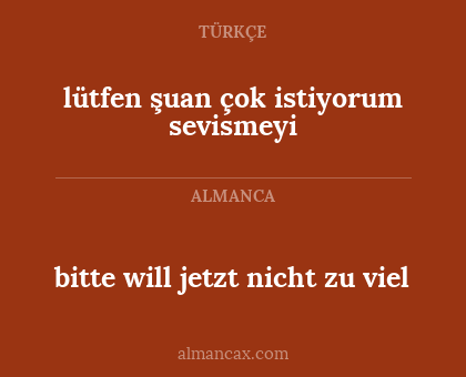 bitte will jetzt nicht zu viel - lütfen şuan çok istiyorum sevismeyi